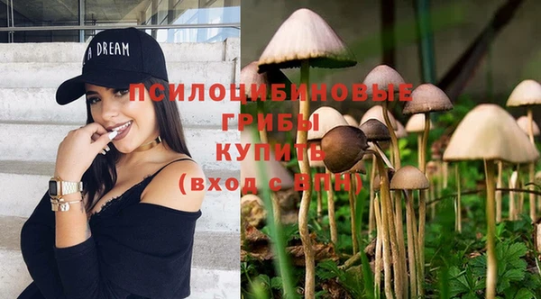 круглые Абаза