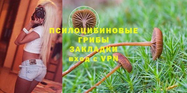 хмурый Абинск