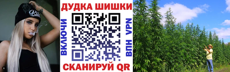 MEGA маркетплейс  Монино  darknet телеграм  Бошки Шишки Amnesia 